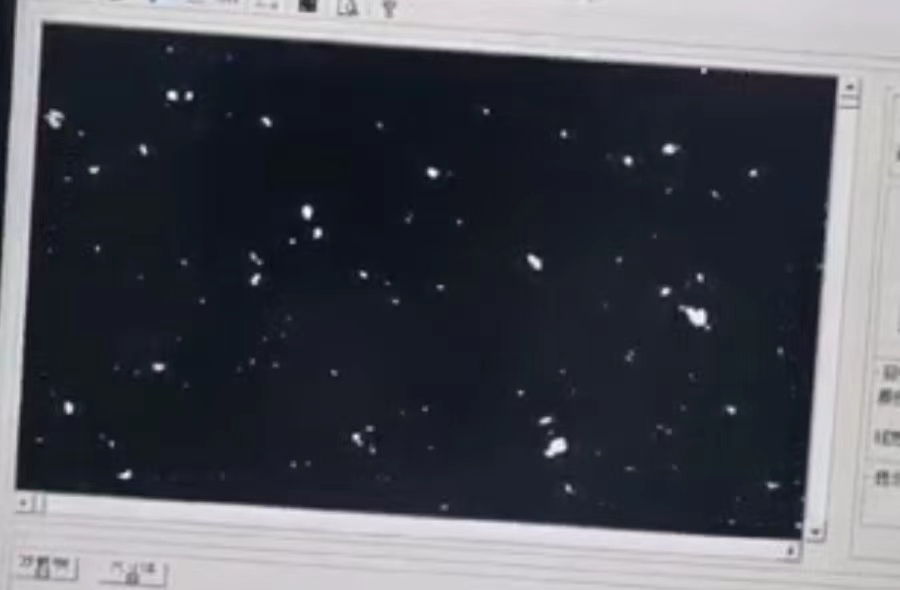 Carbon Black Dispersion1